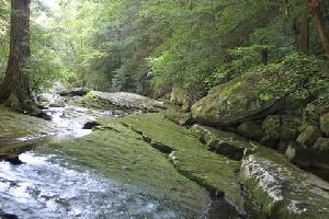 mossy rock slabs, oh boy