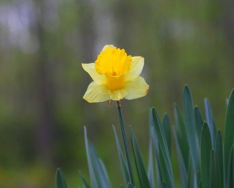 courage to stand alone